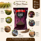 Jeera, Whole Cumin Seeds, Stone-Free