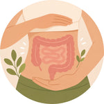 Gut Health