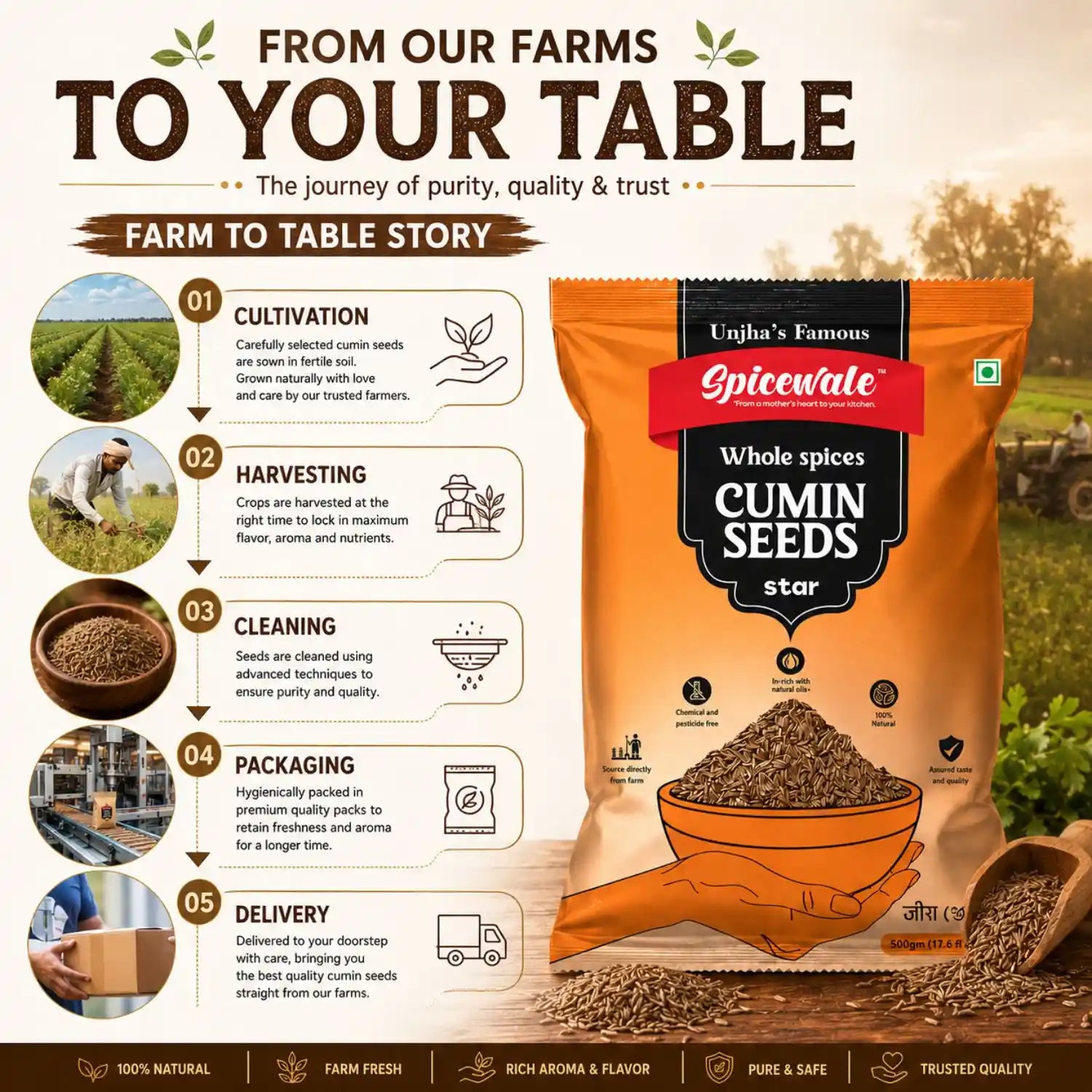 Jeera Star, Premium Whole Cumin, Stone-Free